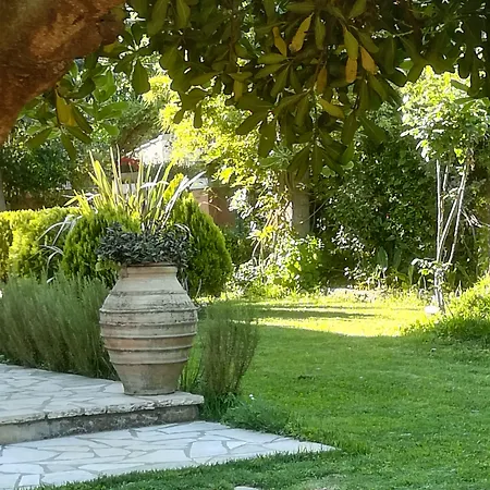 Kaloudis & * ダシア