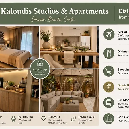 Kaloudis & *