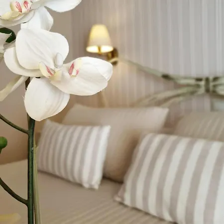 Kaloudis & Дассия